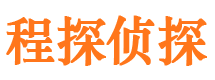 雁江市侦探公司